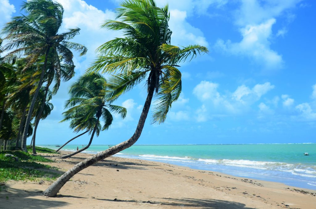 Seis destinos imperdíveis para viajar com o Sesc em Alagoas; confira